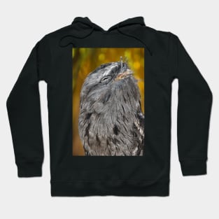 Tawny Frogmouth Bliss Hoodie